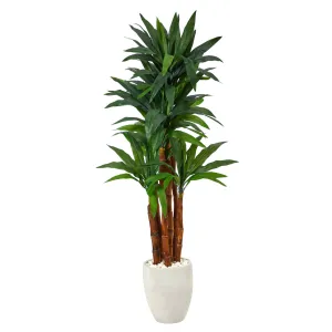 5’ Dracaena Artificial Tree in White Planter