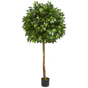 5.5’ Artificial Ficus Tree Two Trunks