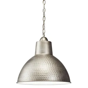 Missoula 14 in. Pendant Light Silver Finish